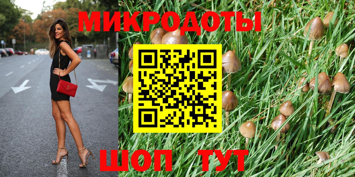 Псилоцибиновые грибы Magic Shrooms Сыктывкар